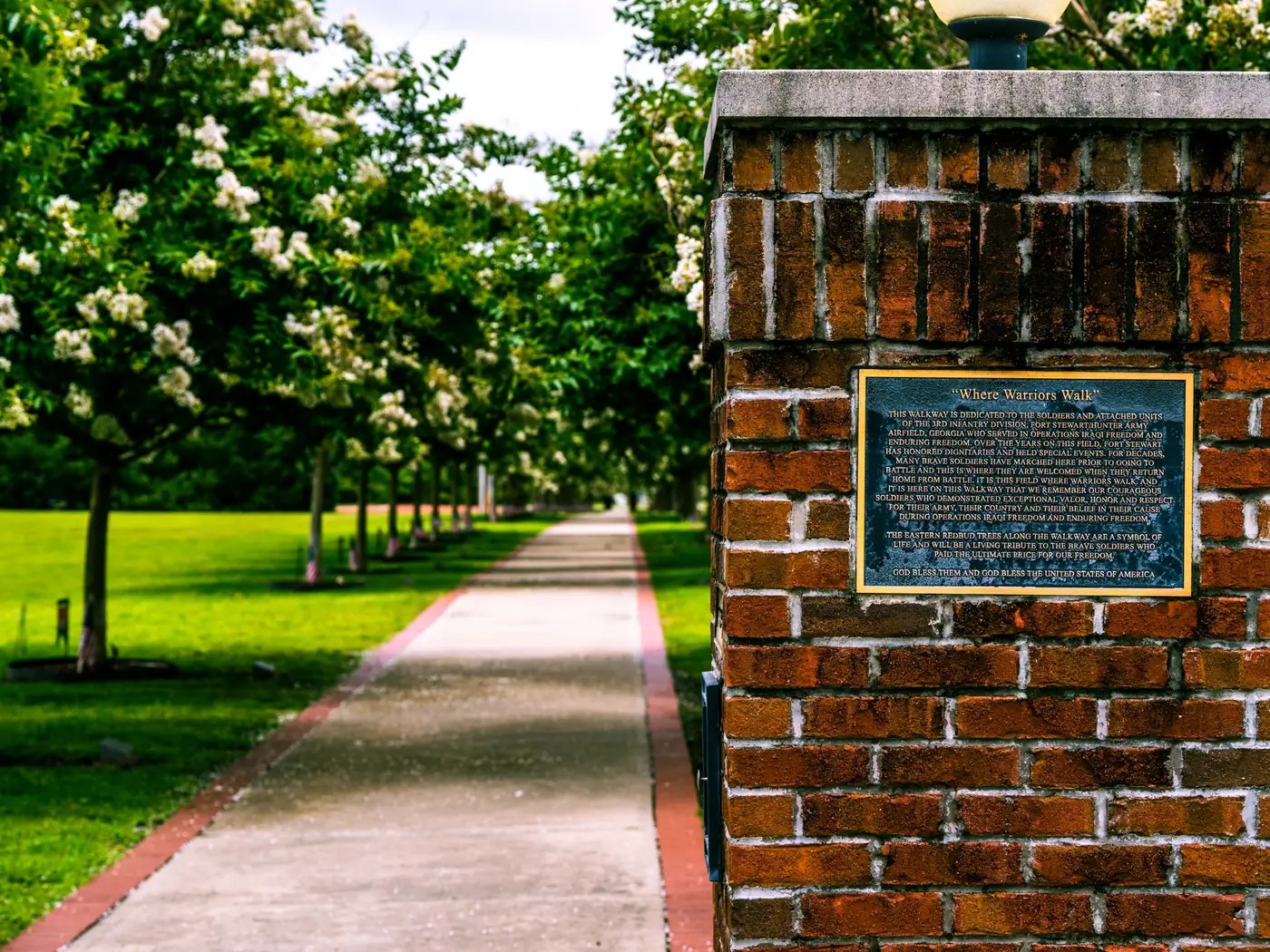 Crape myrtles in bloom along Warriors Walk at Fort Stewart near Hinesville, Georgia, U.S. Army photo