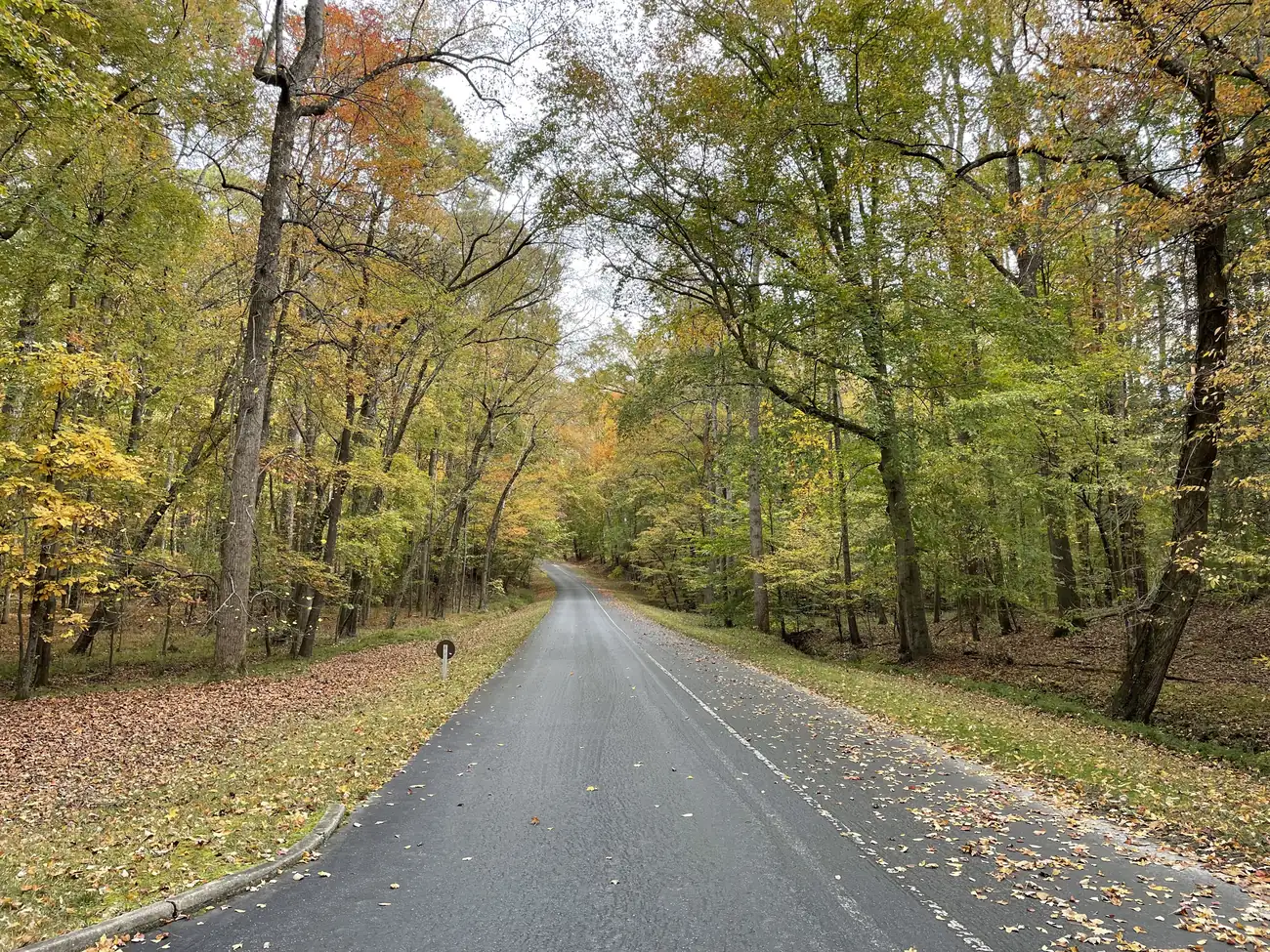 Tour road lined with fall foliage at Petersburg National Battlefield near Petersburg, Virginia, where PBT Bancorp helps Fort Lee Soldiers and Veterans buy homes with VA loans